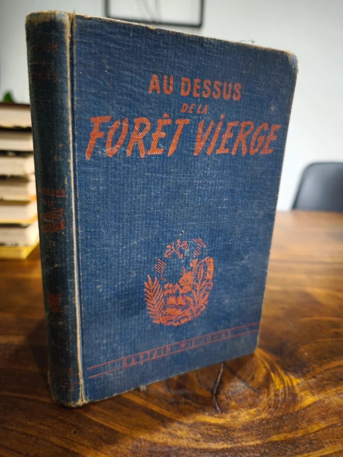 Sobre el bosque virgen – photo 2